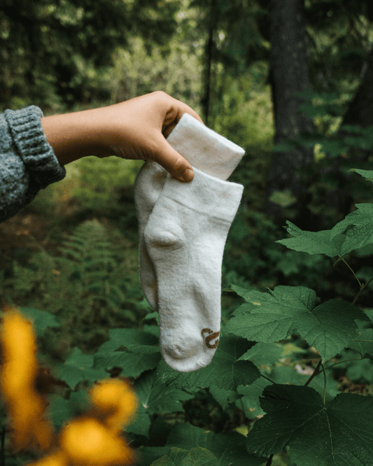 Ankle Socks - Natural White