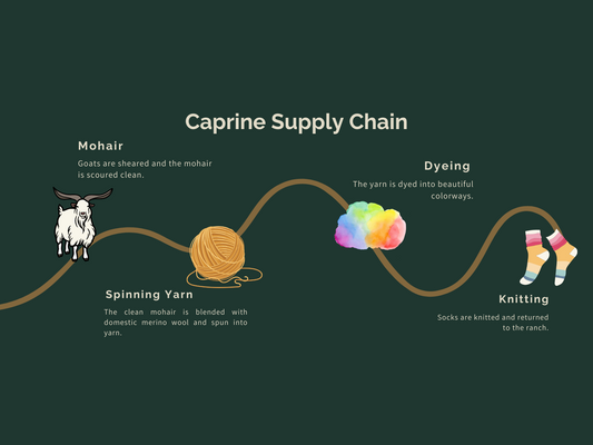 Caprine Mohair Sock Supply Chain